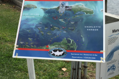 IMG_0822